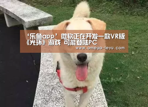 ‘乐鱼app’微软正在开发一款VR版《光环》游戏 可能登陆PC(图3) 乐鱼官网