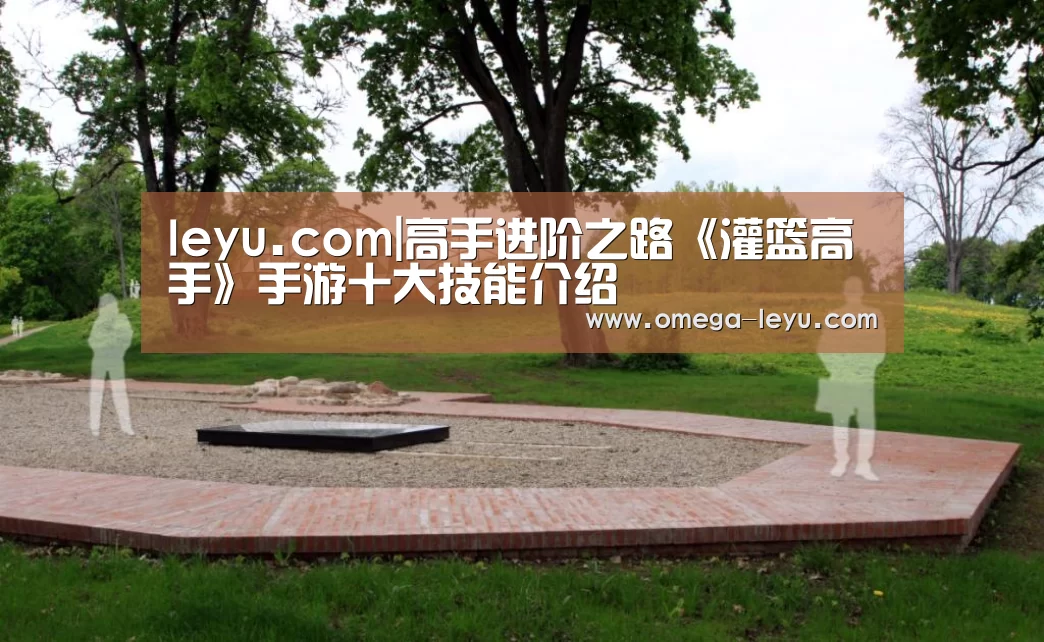 leyu.com|高手进阶之路《灌篮高手》手游十大技能介绍(图2) 乐鱼app下载