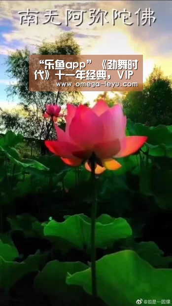 “乐鱼app”《劲舞时代》十一年经典,VIP礼包同行(图2) 乐鱼app