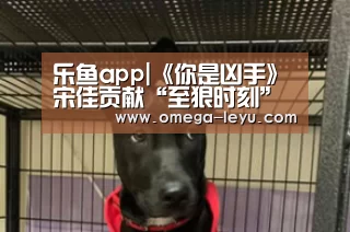 乐鱼app|《你是凶手》宋佳贡献“至狠时刻” 王千源执着寻凶(图4) 乐鱼app下载