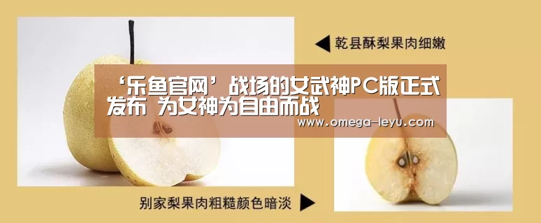 ‘乐鱼官网’战场的女武神PC版正式发布 为女神为自由而战(图2) ‘乐鱼官网’战场的女武神PC版正式发布 为女神为自由而战(图2)